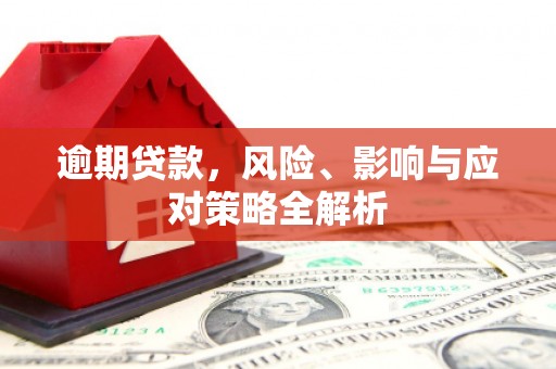南靖逾期贷款，风险、影响与应对策略全解析