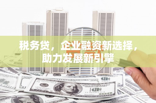 南靖税务贷，企业融资新选择，助力发展新引擎