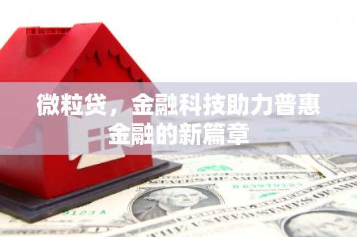 南靖微粒贷，金融科技助力普惠金融的新篇章