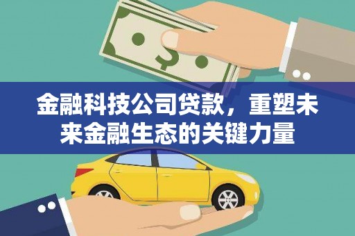 南靖金融科技公司贷款，重塑未来金融生态的关键力量