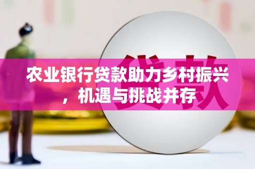 南靖农业银行贷款助力乡村振兴，机遇与挑战并存