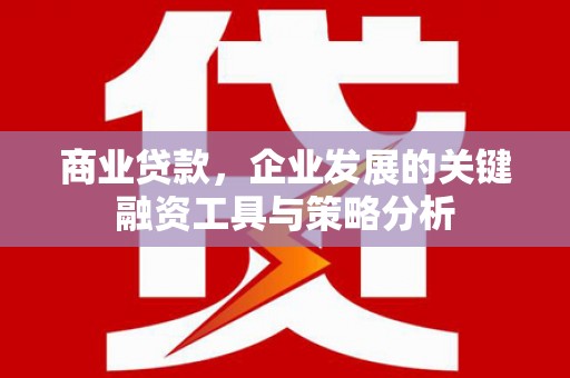 南靖商业贷款，企业发展的关键融资工具与策略分析