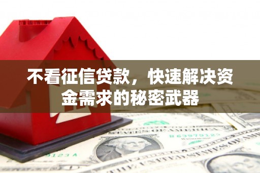 南靖不看征信贷款，快速解决资金需求的秘密武器