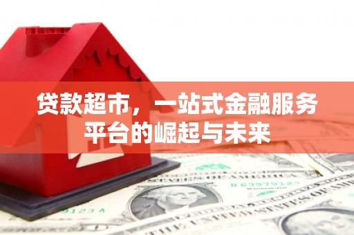 南靖贷款超市，一站式金融服务平台的崛起与未来