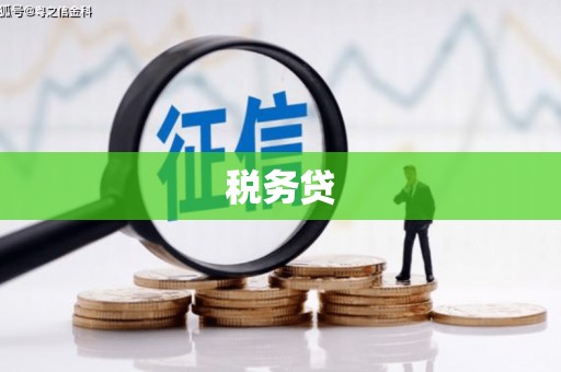 南靖税务贷