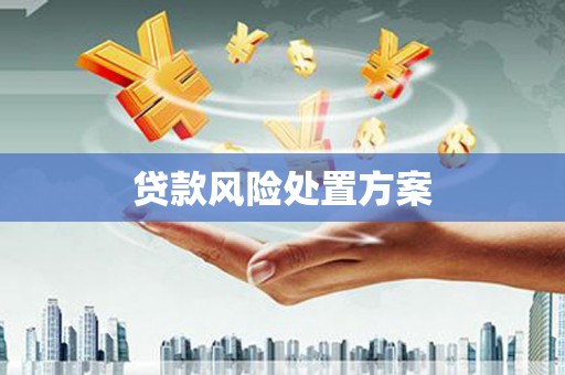 南靖贷款风险处置方案