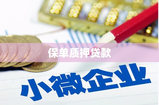 南靖保单质押贷款