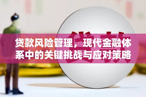 南靖贷款风险管理，现代金融体系中的关键挑战与应对策略