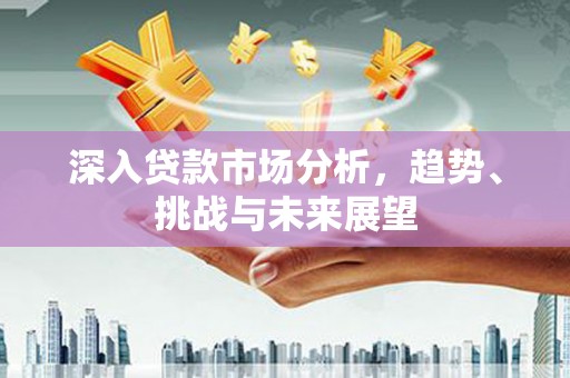 南靖深入贷款市场分析，趋势、挑战与未来展望