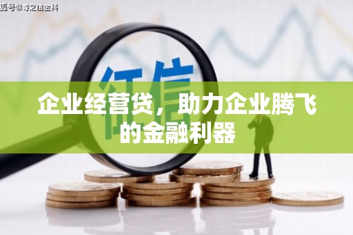 南靖企业经营贷，助力企业腾飞的金融利器