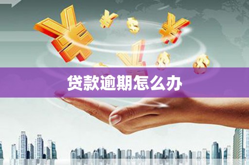 南靖贷款逾期怎么办