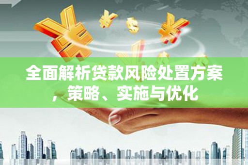 南靖全面解析贷款风险处置方案，策略、实施与优化