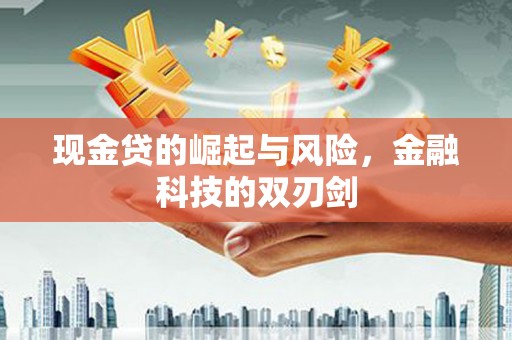 南靖现金贷的崛起与风险，金融科技的双刃剑