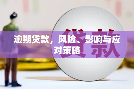 南靖逾期贷款，风险、影响与应对策略