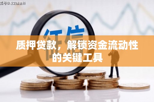 南靖质押贷款，解锁资金流动性的关键工具