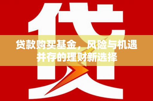 南靖贷款购买基金，风险与机遇并存的理财新选择
