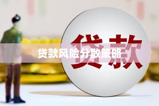 南靖贷款风险分散策略