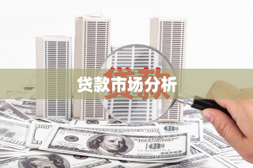 南靖贷款市场分析