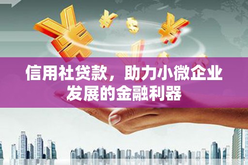 南靖信用社贷款，助力小微企业发展的金融利器