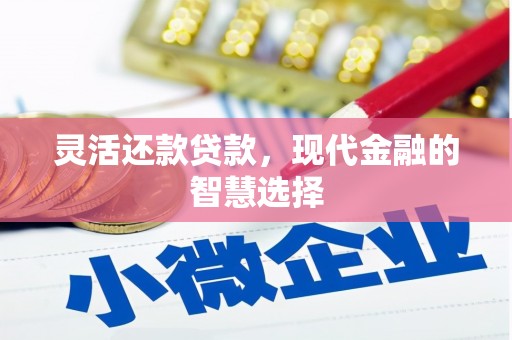 南靖灵活还款贷款，现代金融的智慧选择