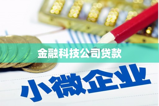 南靖金融科技公司贷款
