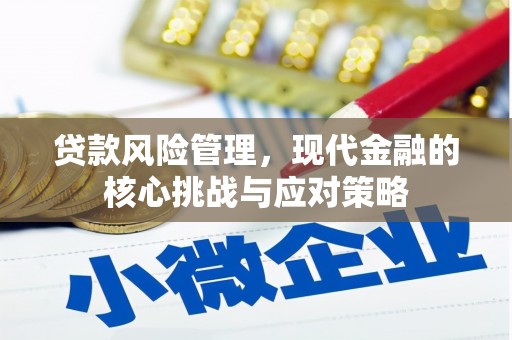 南靖贷款风险管理，现代金融的核心挑战与应对策略