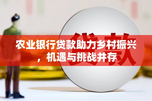 南靖农业银行贷款助力乡村振兴，机遇与挑战并存
