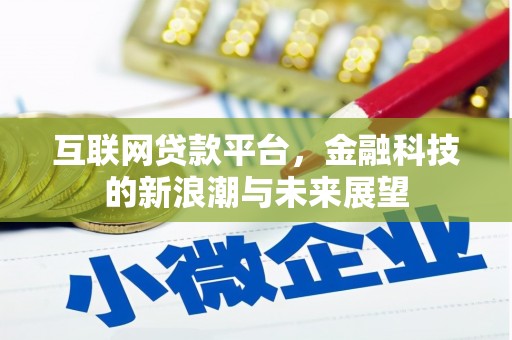 南靖互联网贷款平台，金融科技的新浪潮与未来展望