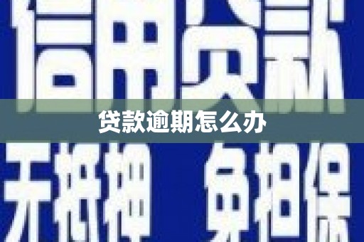 南靖贷款逾期怎么办