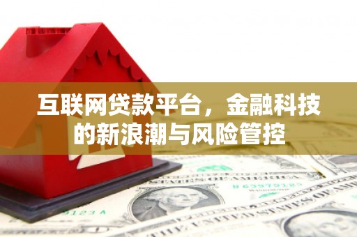 南靖互联网贷款平台，金融科技的新浪潮与风险管控