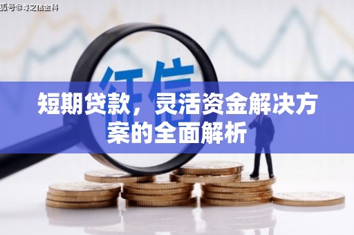 南靖短期贷款，灵活资金解决方案的全面解析