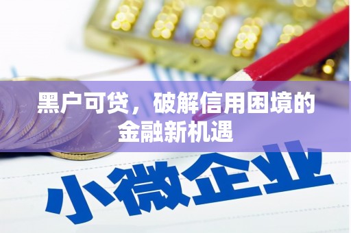 南靖黑户可贷，破解信用困境的金融新机遇