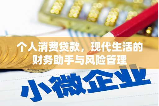 南靖个人消费贷款，现代生活的财务助手与风险管理