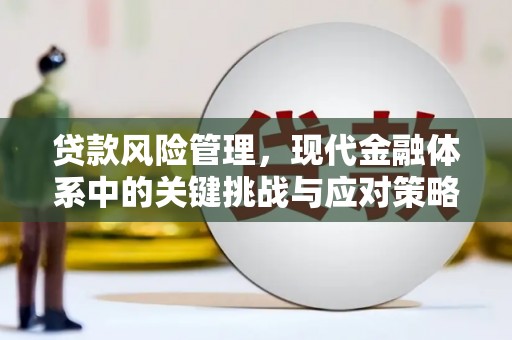 南靖贷款风险管理，现代金融体系中的关键挑战与应对策略