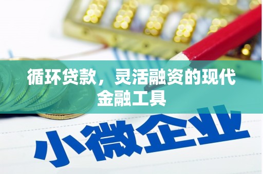 南靖循环贷款，灵活融资的现代金融工具