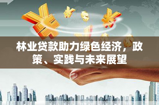 南靖林业贷款助力绿色经济，政策、实践与未来展望