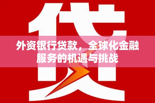 南靖外资银行贷款，全球化金融服务的机遇与挑战