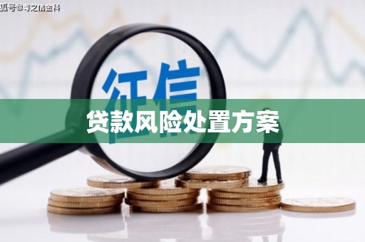 南靖贷款风险处置方案
