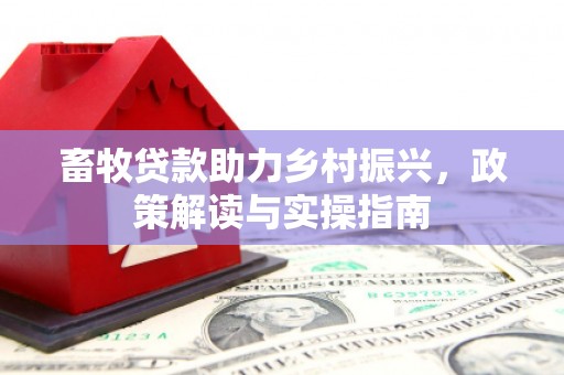 南靖畜牧贷款助力乡村振兴，政策解读与实操指南