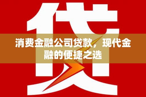 南靖消费金融公司贷款，现代金融的便捷之选