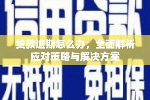 南靖贷款逾期怎么办，全面解析应对策略与解决方案