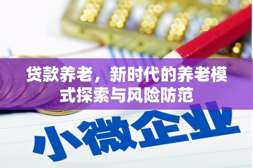 南靖贷款养老，新时代的养老模式探索与风险防范