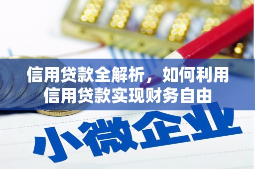 南靖信用贷款全解析，如何利用信用贷款实现财务自由