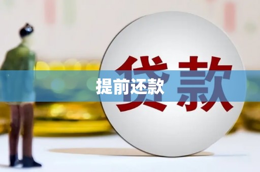 南靖提前还款