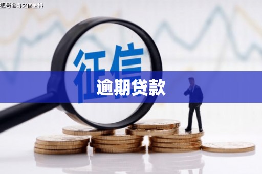 南靖逾期贷款